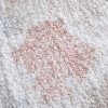 Quilt Bedding Sets * | Cheap Laura Ashley Saltwater Quilt & Sham Set Coral Pink